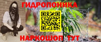 a pvp Чебоксары