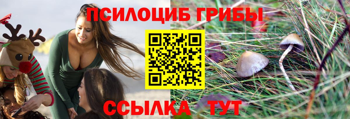 Галлюциногенные грибы мухоморы Новоалександровск