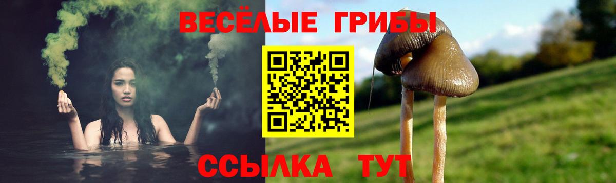 Псилоцибиновые грибы Psilocybine cubensis  Вход с VPN  Новоалександровск 